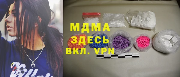 индика Елизово