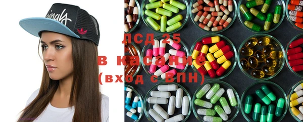 гидропоника Сатка