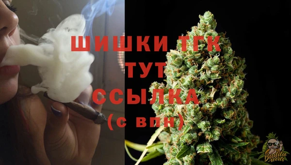 гидропоника Сатка