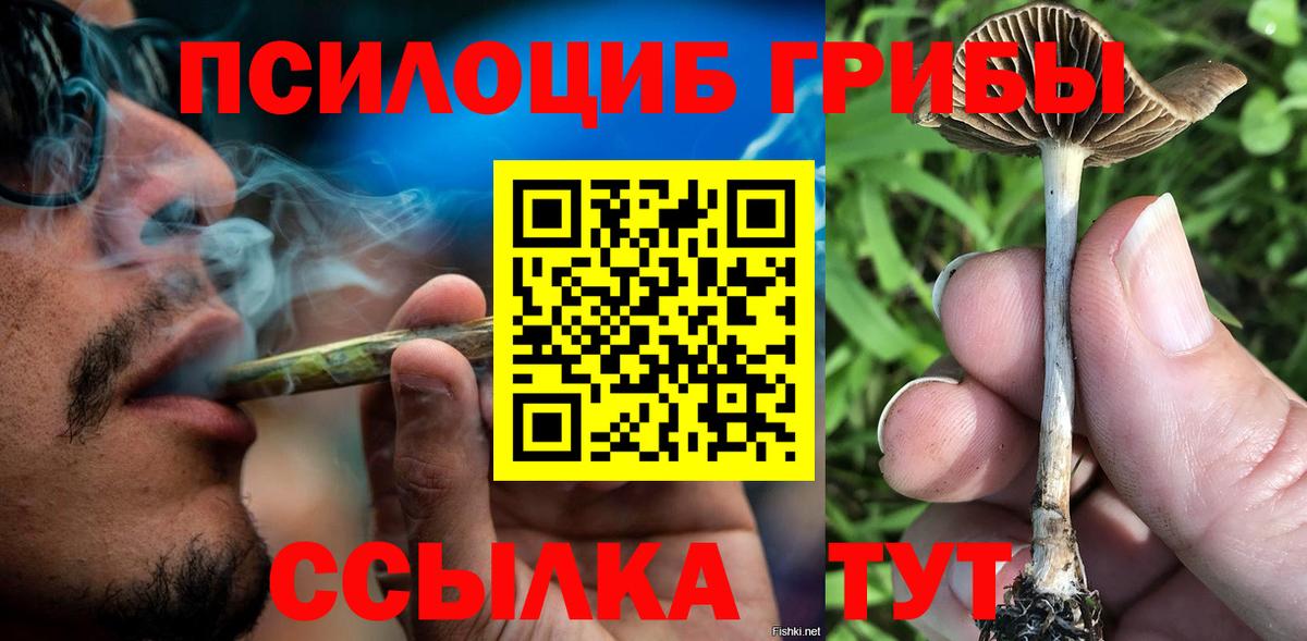 Галлюциногенные грибы ЛСД Славянск-на-Кубани