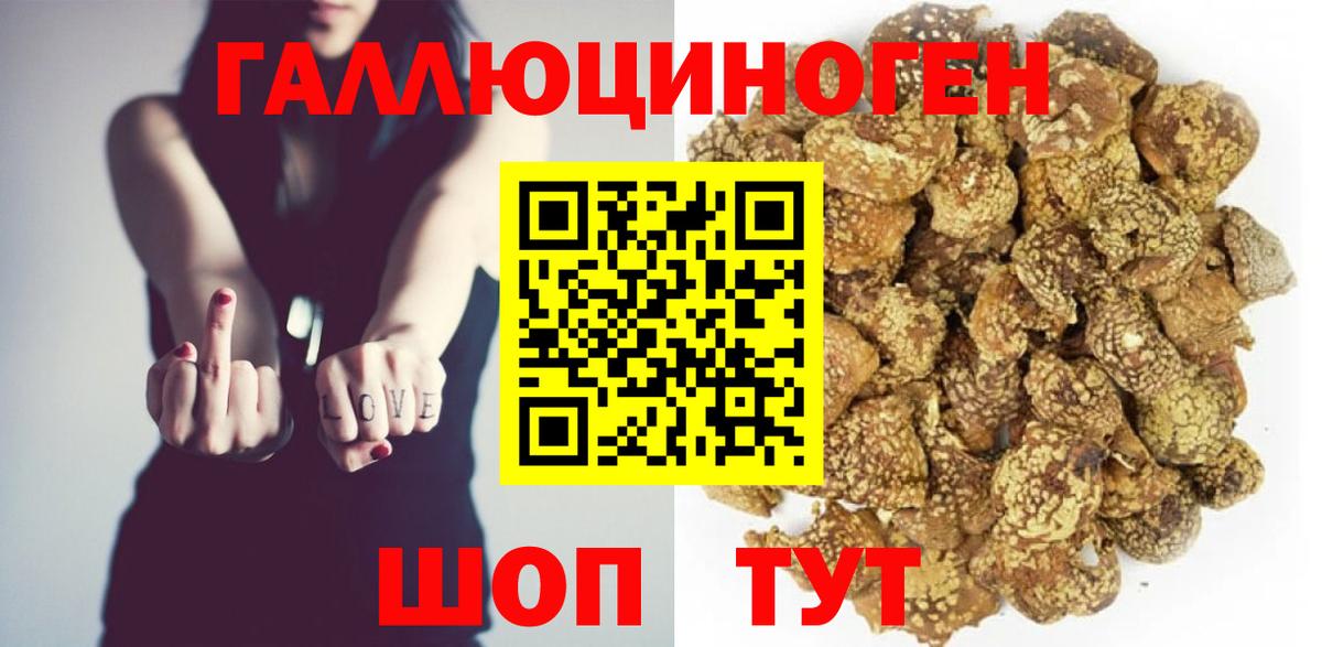 Псилоцибиновые грибы мицелий  Псилоцибиновые грибы GOLDEN TEACHER  Славянск-на-Кубани  Вход с VPN 